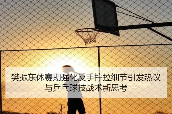 樊振东休赛期强化反手拧拉细节引发热议与乒乓球技战术新思考